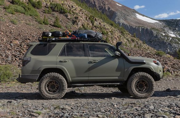 Mt4runner